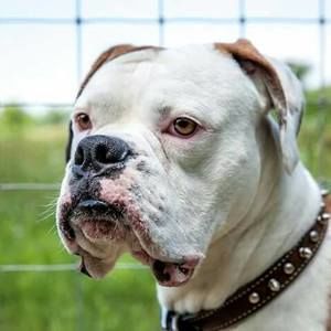 Meet your Posher, Chelsea